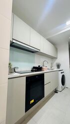 One Amber (D15), Condominium #637496541